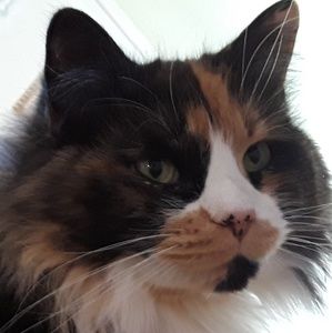 Meet your Posher, Marion